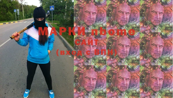 трава Няндома
