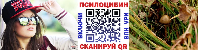 гидра ONION  Кувандык  Псилоцибиновые грибы GOLDEN TEACHER 