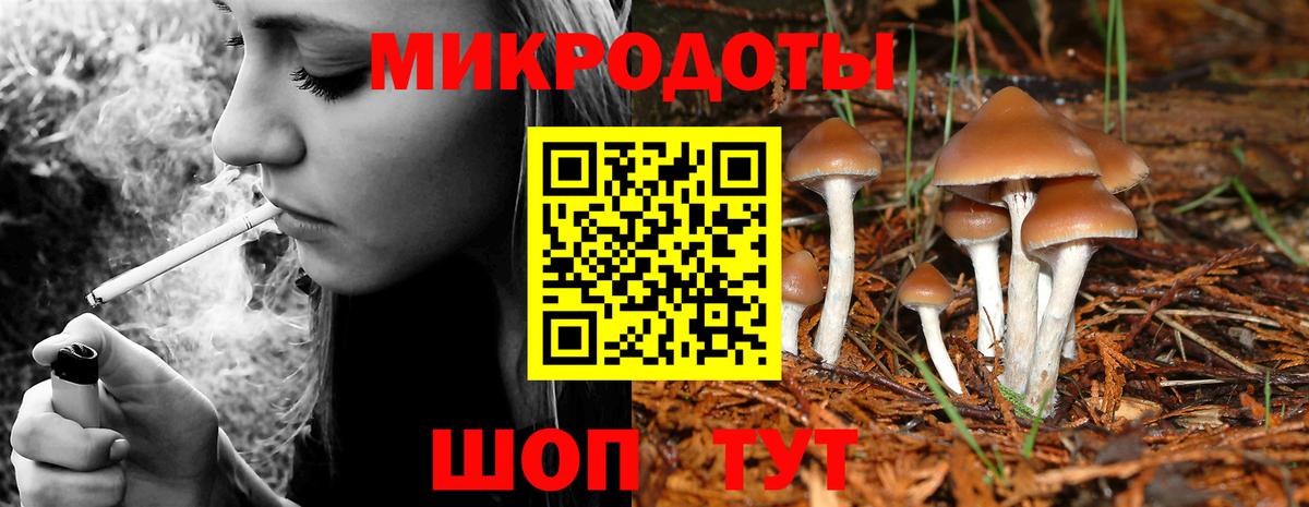 Галлюциногенные грибы GOLDEN TEACHER Кувандык